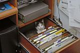 20040304_Kitty Kat_051